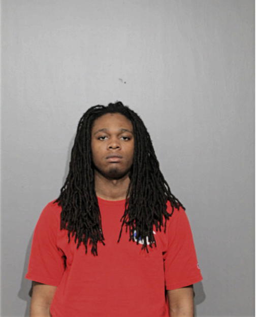 DARIELLE D GOLDEN, Cook County, Illinois