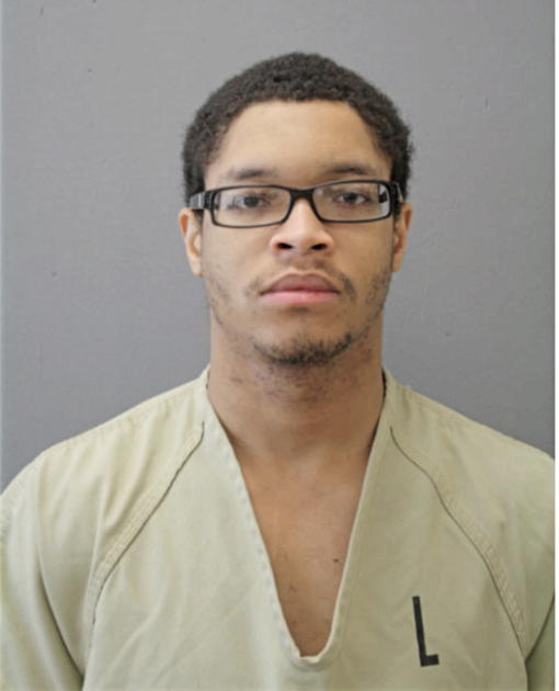 MATTHEW X JACKSON, Cook County, Illinois