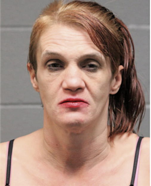 JULIE M KING, Cook County, Illinois