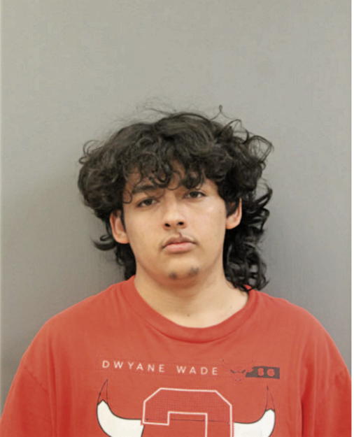 ALEJANDRO MAGALLANES, Cook County, Illinois