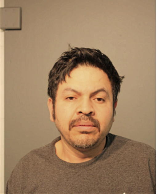 ROGELIO OCHOA MENDEZ, Cook County, Illinois