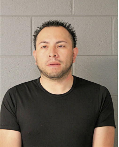 LUIS MESTA, Cook County, Illinois