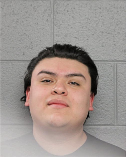 FLAVIO MONTESDEOCAMORA, Cook County, Illinois
