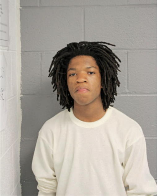 DONAMEEN R JONES, Cook County, Illinois