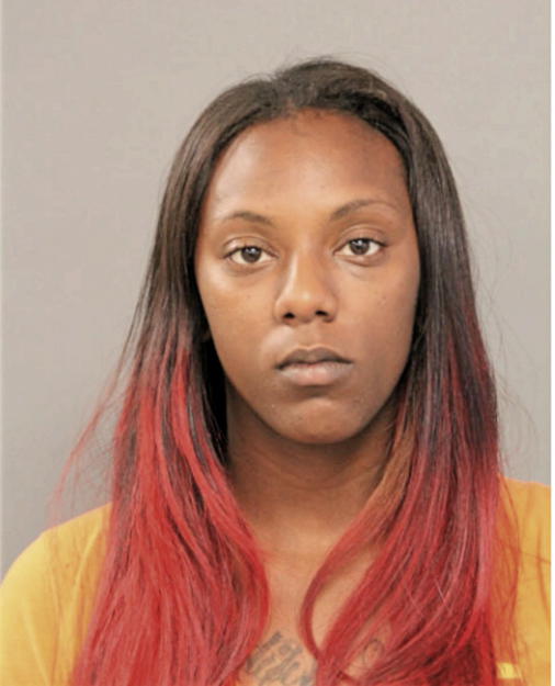 MICHELLE T RIVERS, Cook County, Illinois