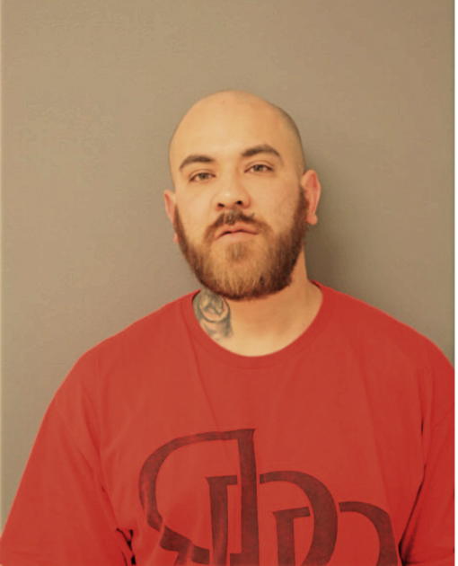 ALFONSO R RODRIGUEZ, Cook County, Illinois
