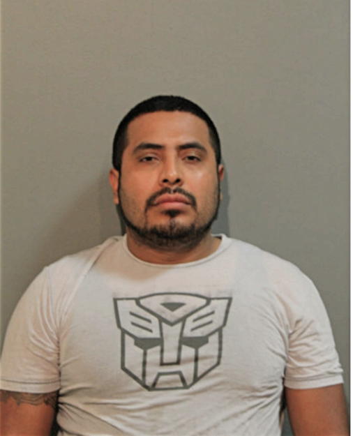 RICARDO SALGADO-ESCALANTE, Cook County, Illinois
