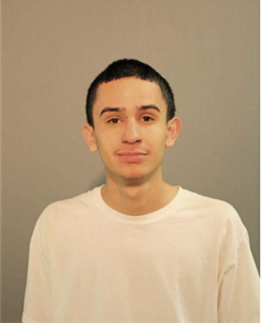 JAVIER SANCHEZ, Cook County, Illinois