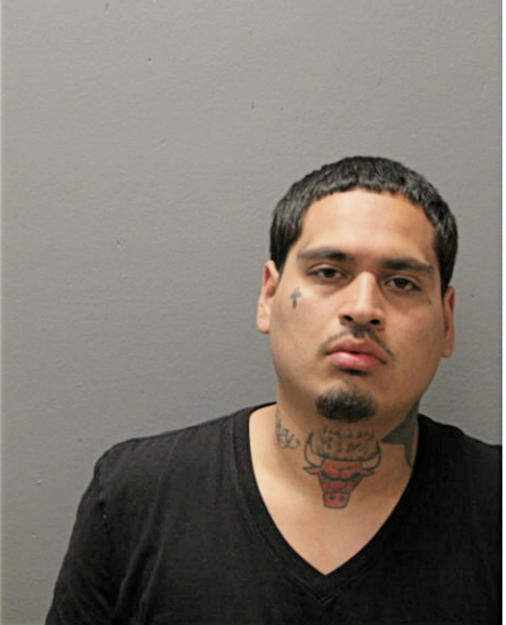 GENARO S SOTO-GREER, Cook County, Illinois