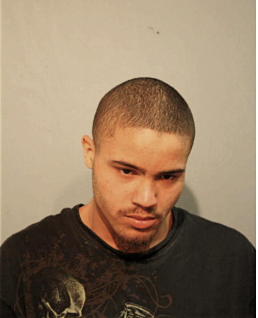 CHRISTOPHER A VIELLA, Cook County, Illinois
