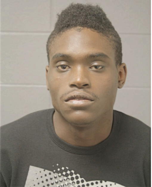 JERRY A BERRY, Cook County, Illinois