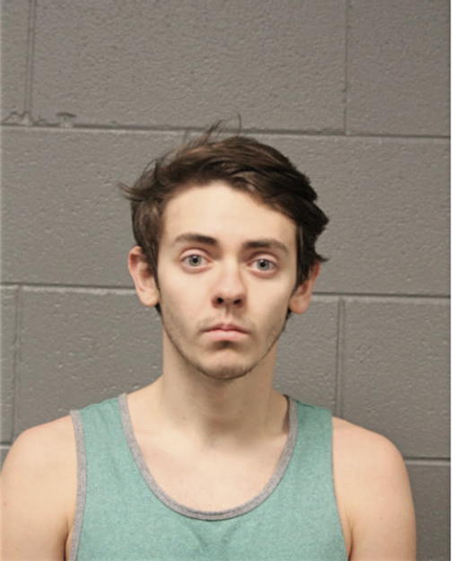 NICHOLAS W BRANDT, Cook County, Illinois