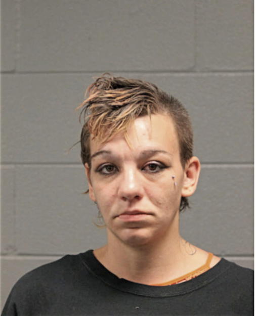 KELLY E DEAN, Cook County, Illinois
