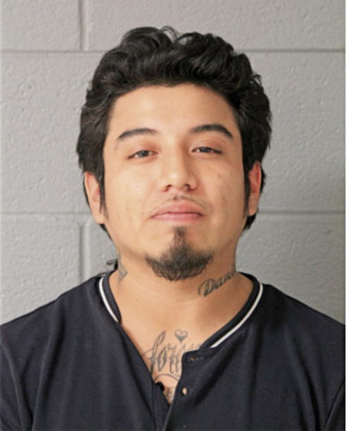 BRIAN ENRIQUEZ, Cook County, Illinois