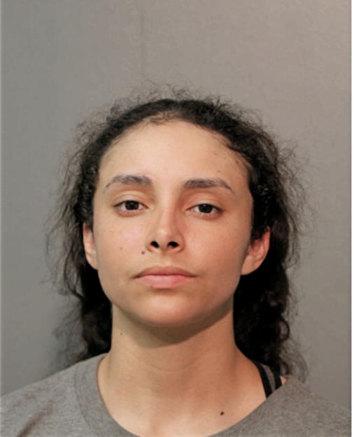 AELANI FLORES, Cook County, Illinois