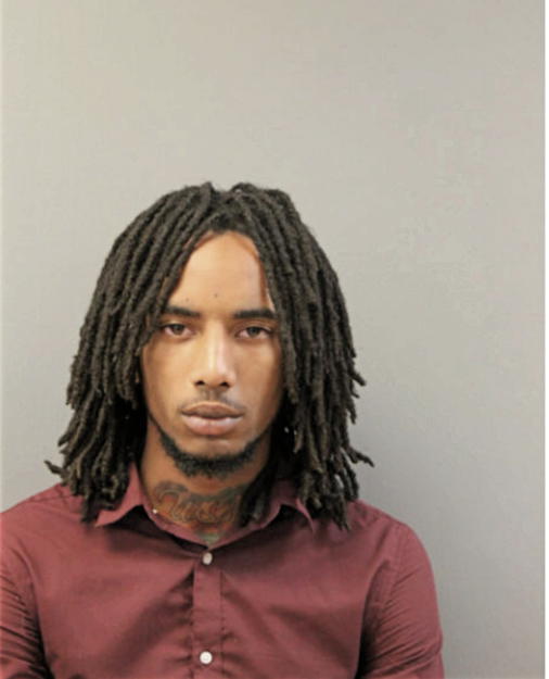 DANIEL L FRIERSON, Cook County, Illinois