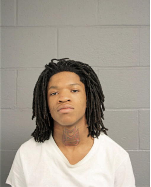 DONAMEEN R JONES, Cook County, Illinois