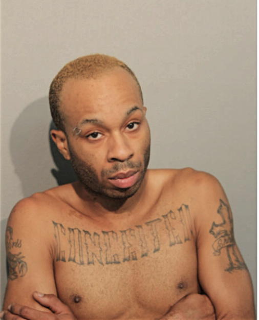 CHRISTOPHER L LEWIS, Cook County, Illinois