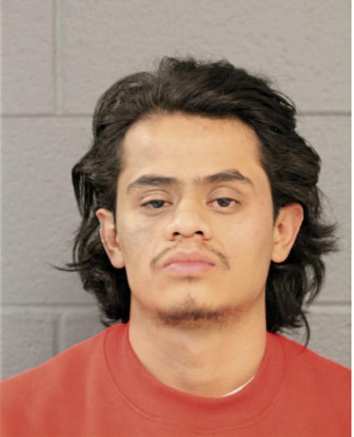 PEDRO LOZA, Cook County, Illinois