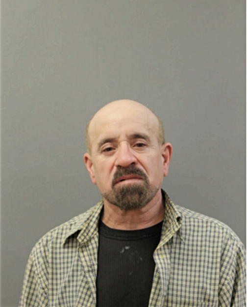 ARMANDO J NUNEZ, Cook County, Illinois