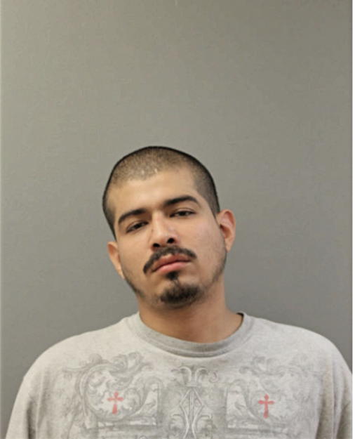 JUAN A OCAMPO, Cook County, Illinois
