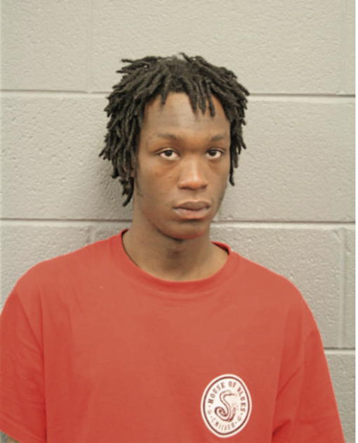 MARTIZ OWNES, Cook County, Illinois