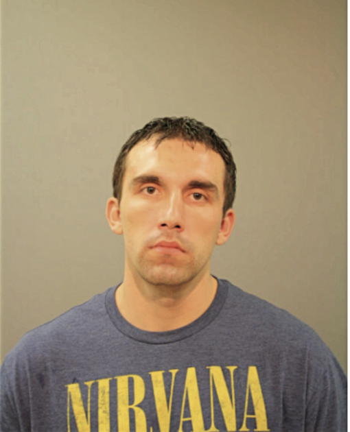 DAVID J RANABARGAR, Cook County, Illinois