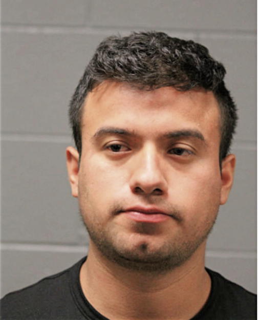 RODOLFO RODAS, Cook County, Illinois