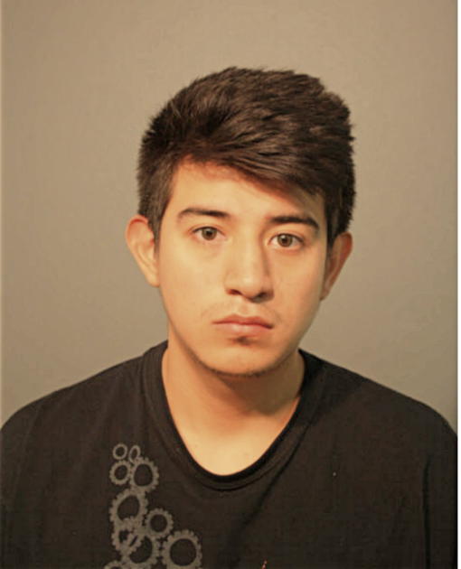 RICARDO M RODRIGUEZ-FLORES, Cook County, Illinois