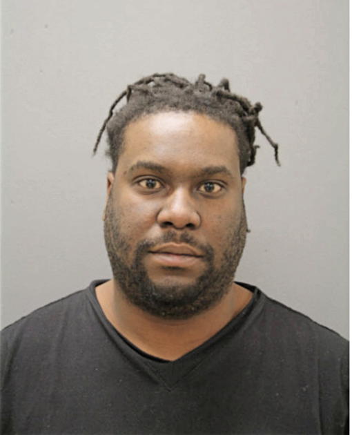 DEMICHAEL R SHEGOG, Cook County, Illinois