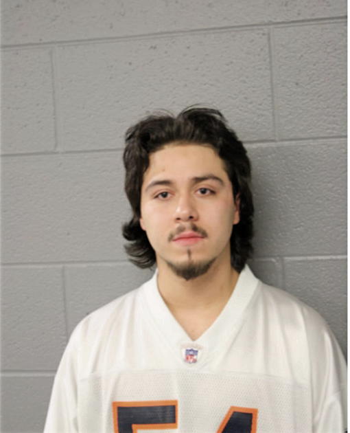 FELIPE VACA, Cook County, Illinois