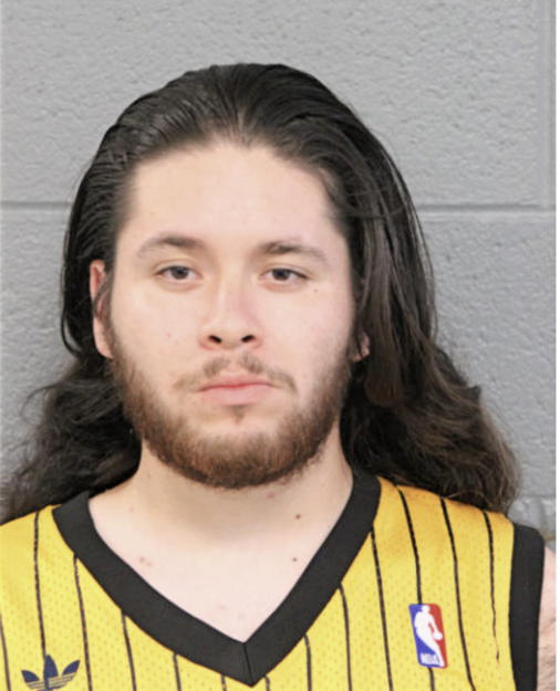 OMAR E VARGAS, Cook County, Illinois