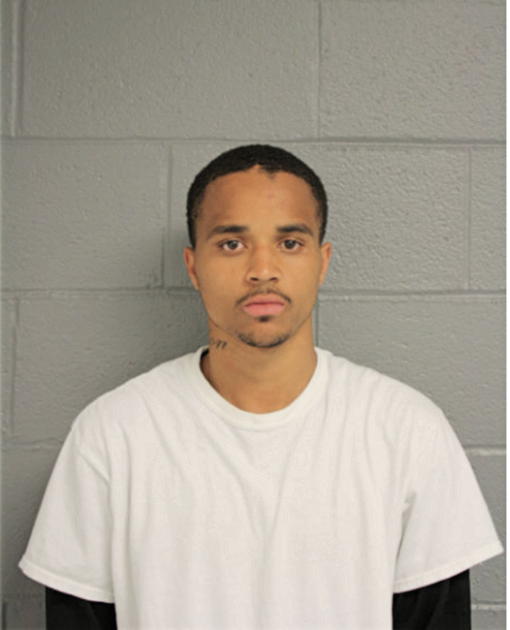 TERRELL D WYATT, Cook County, Illinois