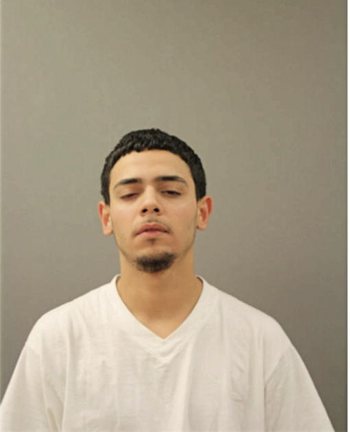 JOSE O ZAMORA, Cook County, Illinois