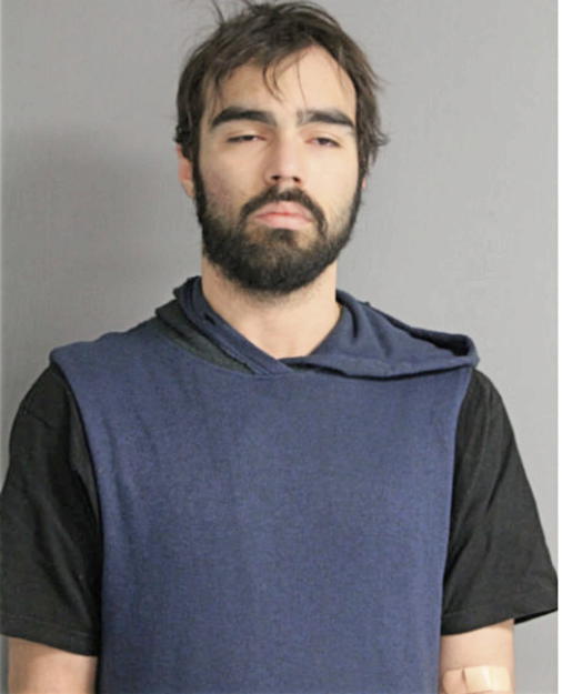 STEVEN A BRUSIC, Cook County, Illinois
