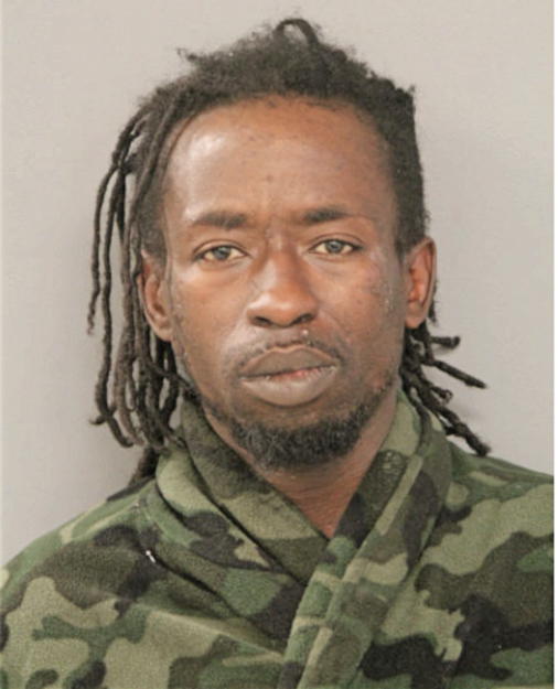 DION D ANDERSON, Cook County, Illinois