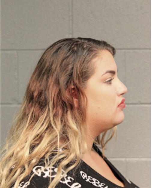 JESSICA L APONTE, Cook County, Illinois