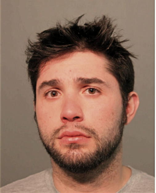 DANIEL J BEMBEA, Cook County, Illinois