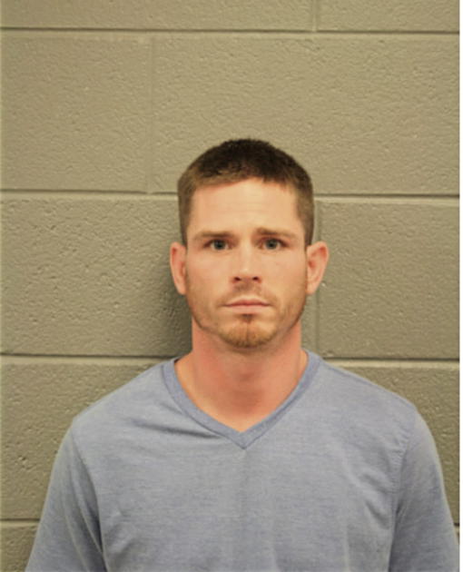 CHRISTOPHER P BRUSH, Cook County, Illinois