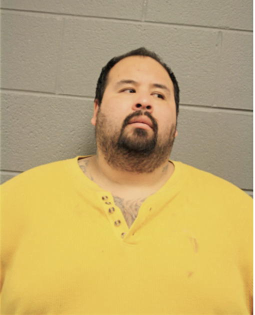 ERNESTO DIAZ, Cook County, Illinois