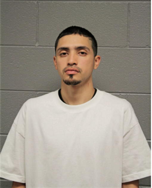 DAVID GARCIA, Cook County, Illinois