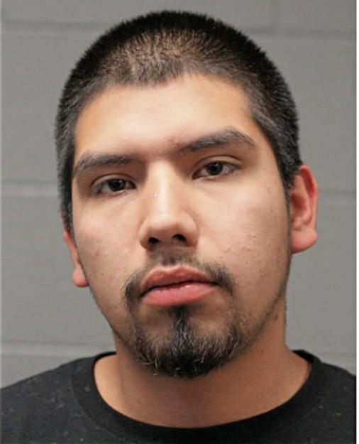 STEVEN GARCIA, Cook County, Illinois