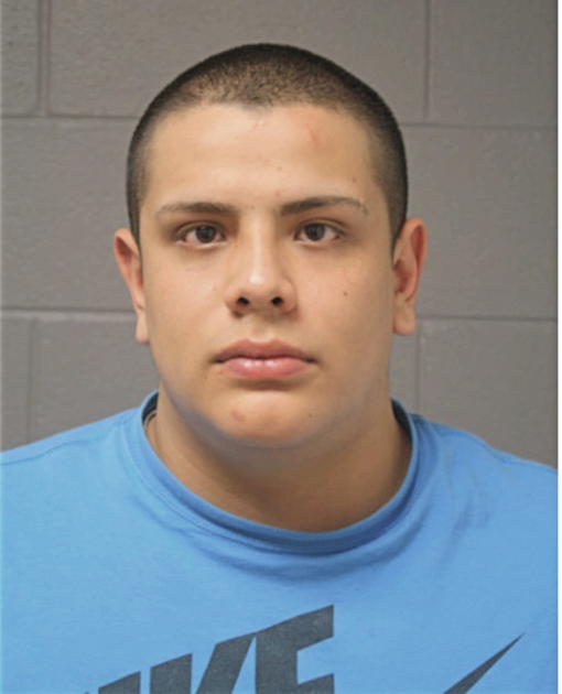 ERIK R GONZALEZ, Cook County, Illinois