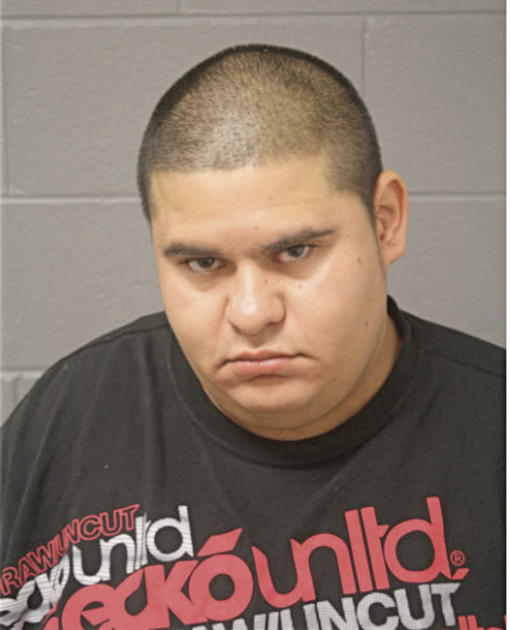 ALFREDO GUTIERREZ, Cook County, Illinois