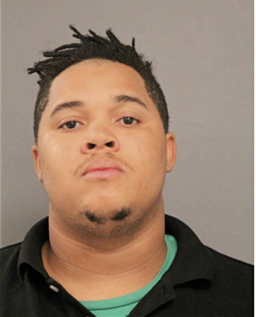 MARTIN C HORST, Cook County, Illinois