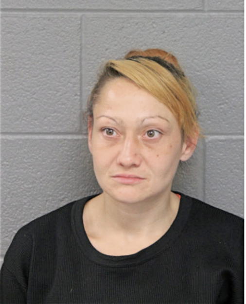 BRIDGITT M HUFF, Cook County, Illinois