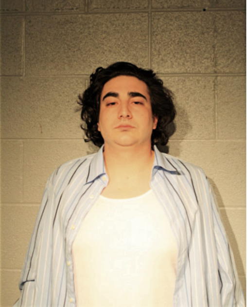 MICHAEL D IOZZO, Cook County, Illinois