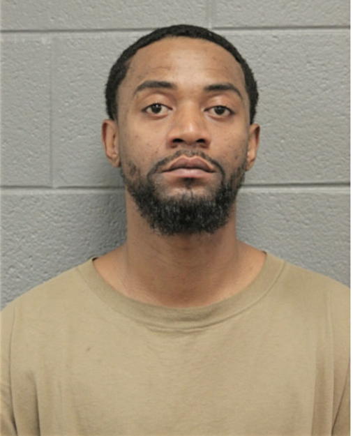 MICHAEL L JONES, Cook County, Illinois