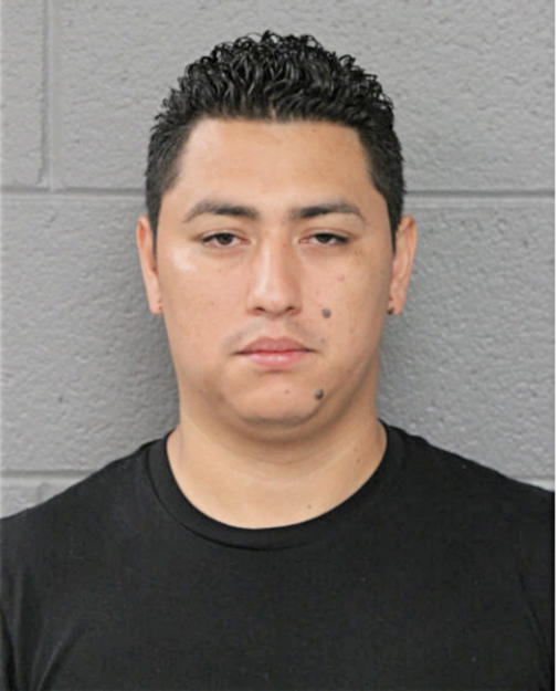 DAVID J JUUTZUTZ, Cook County, Illinois