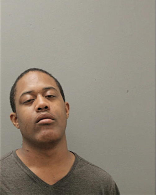 RAMON L LEE, Cook County, Illinois